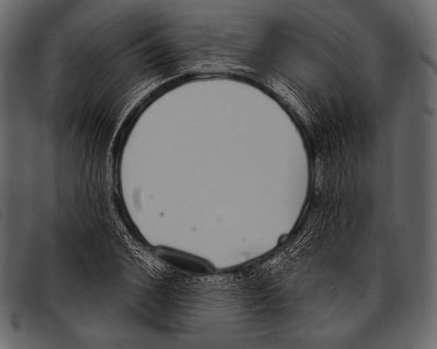 X0000097470976200803201444