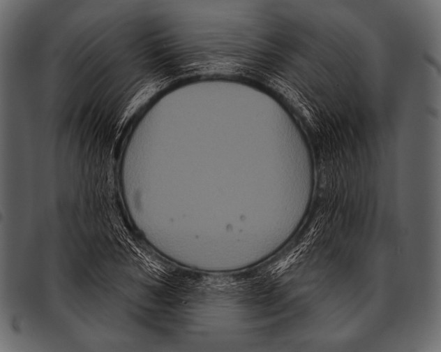 X0000097470978200803201444