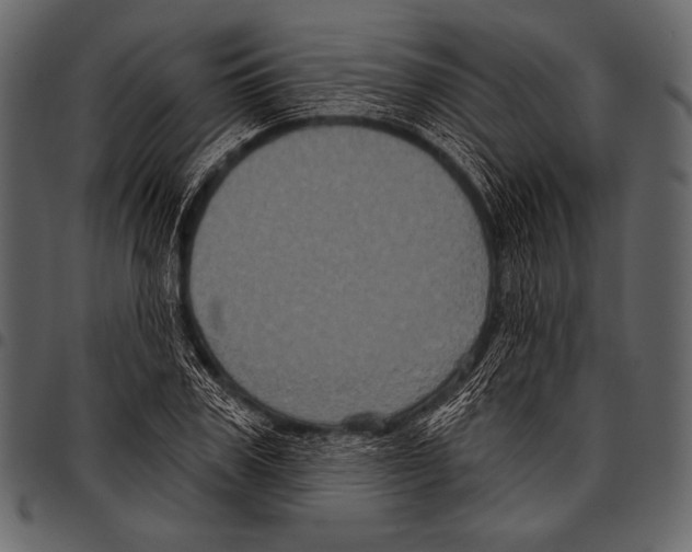 X0000097470979200803201444