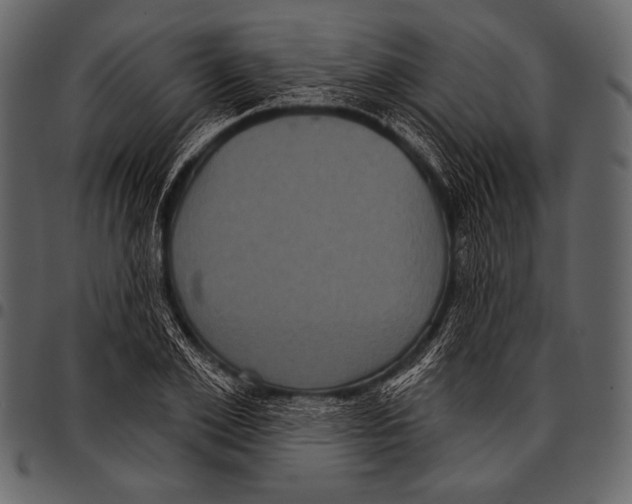 X0000097470981200803201444