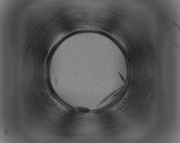 X0000097470982200803201444