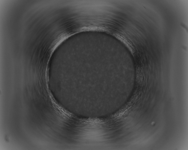 X0000097470983200803201444