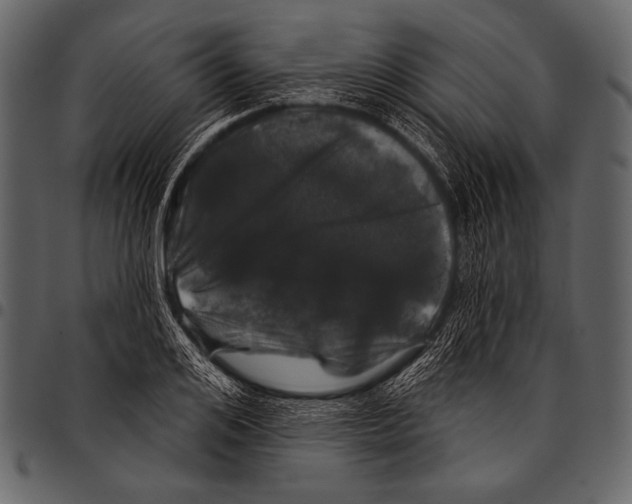 X0000097470984200803201444