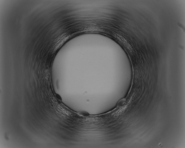 X0000097470985200803201444