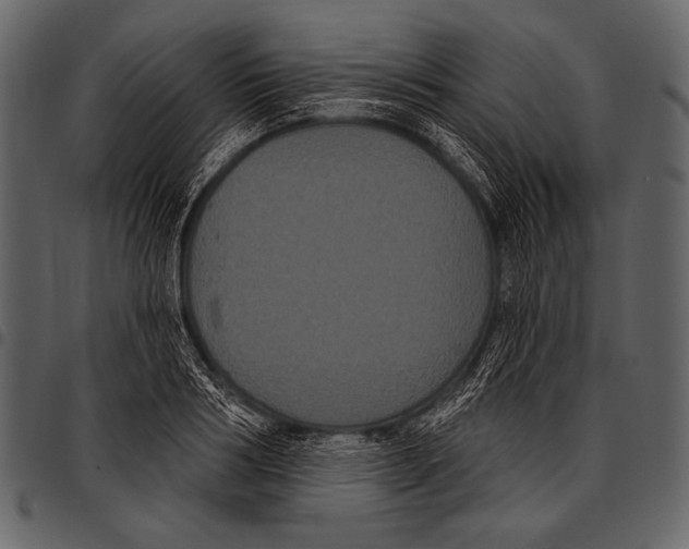 X0000097470986200803201444