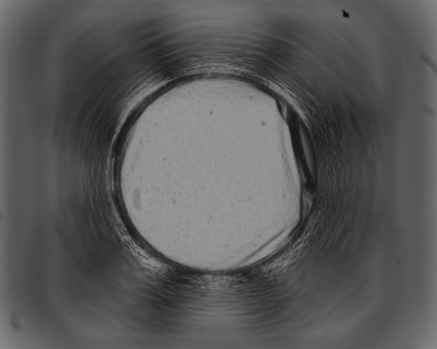 X0000097470987200803201444