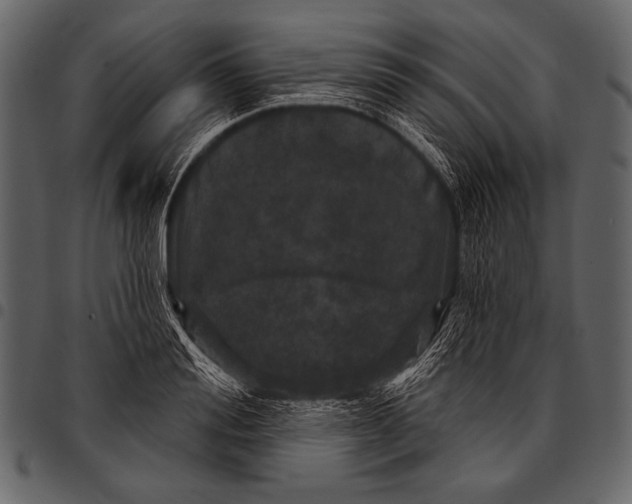 X0000097470988200803201444