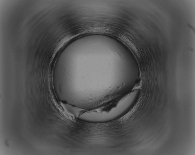 X0000097470989200803201444