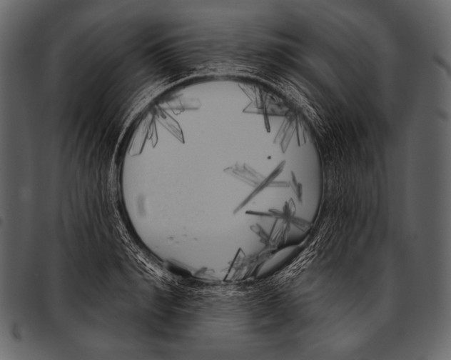 X0000097470990200803201444