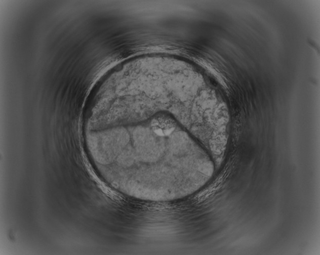 X0000097470991200803201444