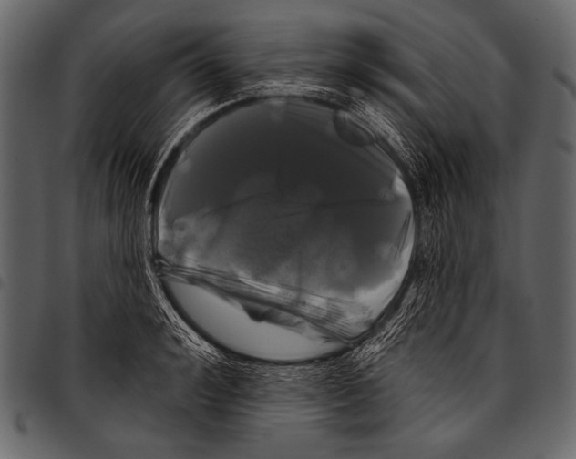 X0000097470992200803201444