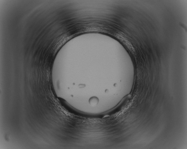 X0000097470993200803201444