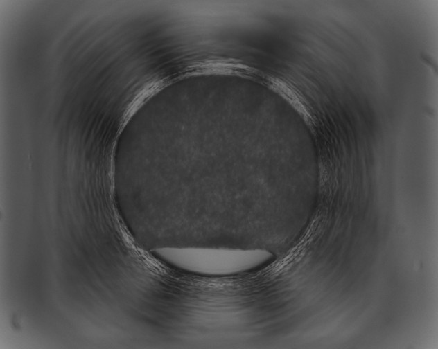 X0000097470994200803201444