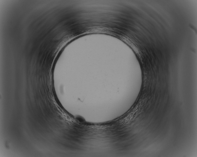 X0000097470996200803201444