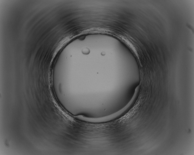 X0000097470997200803201444