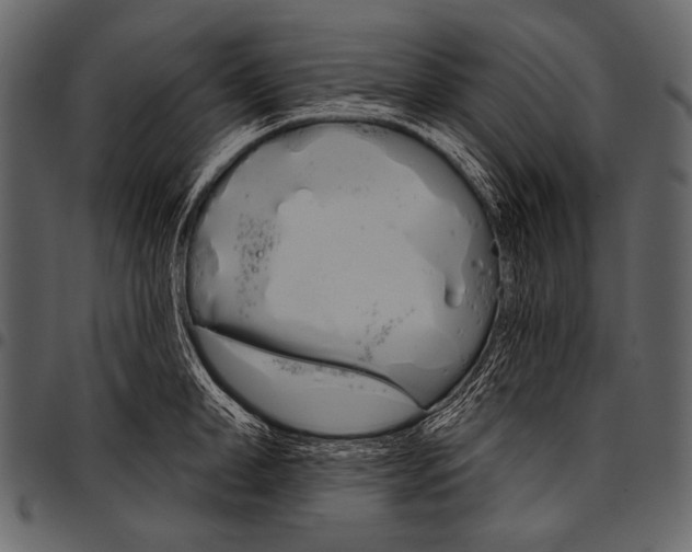 X0000097470998200803201444