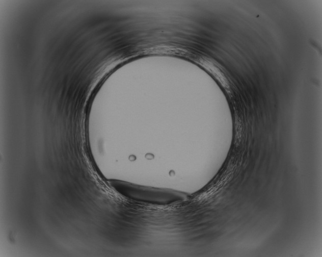 X0000097471000200803201444