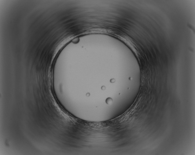 X0000097471003200803201444