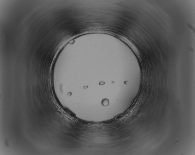 X0000097471004200803201444