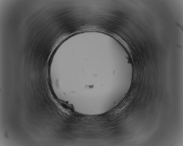 X0000097471005200803201444