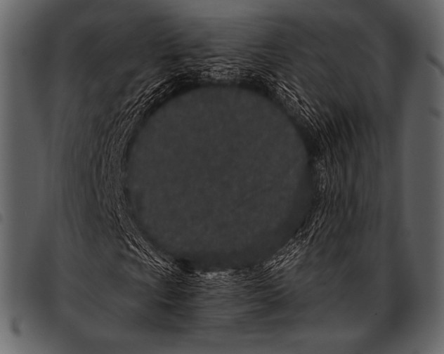 X0000097471009200803201443