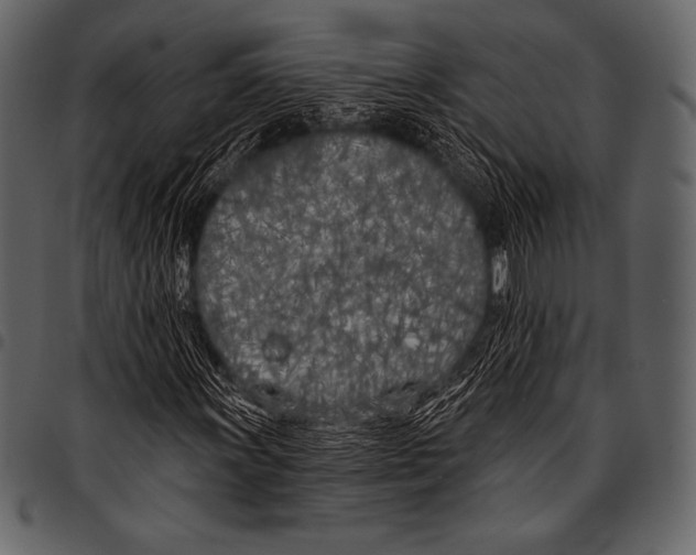 X0000097471011200803201443