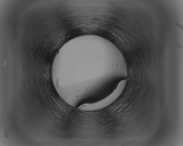 X0000097471012200803201443