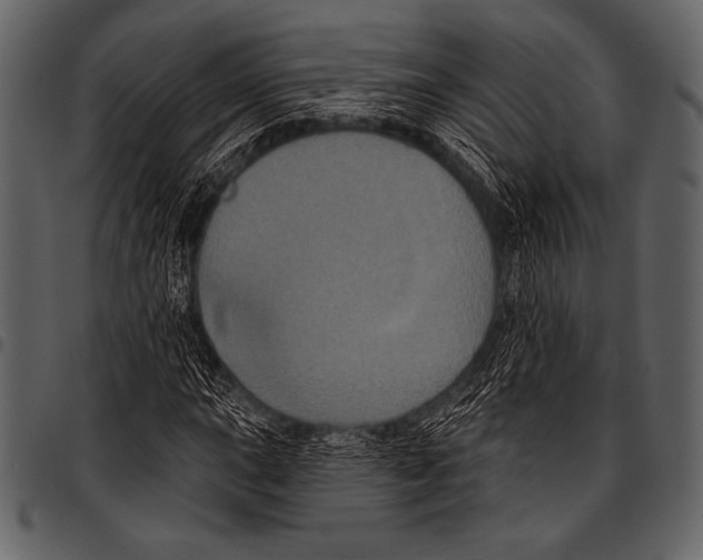 X0000097471015200803201443