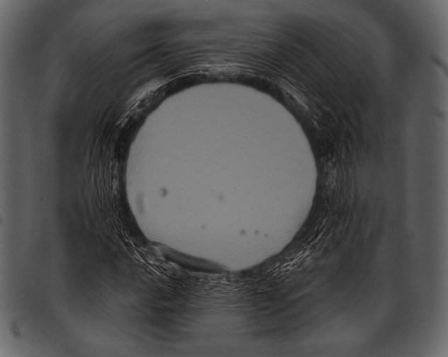 X0000097471016200803201443