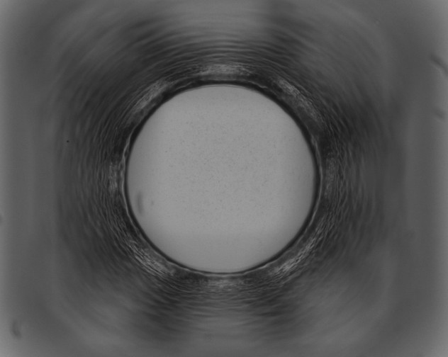 X0000097471017200803201443