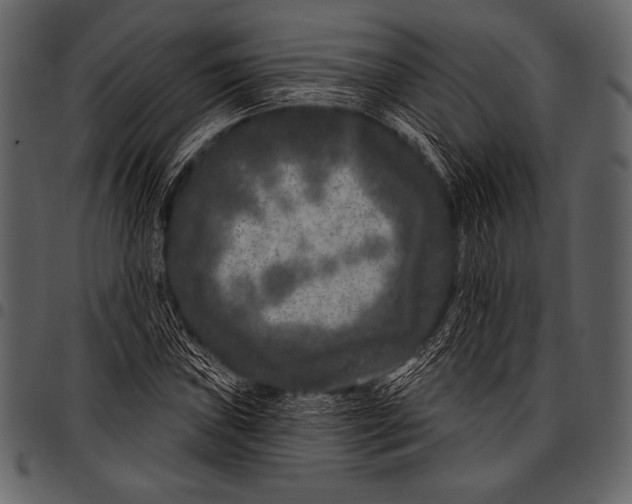 X0000097471019200803201443