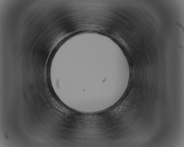 X0000097471020200803201443