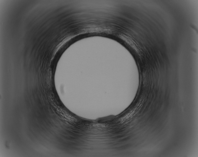 X0000097471021200803201443