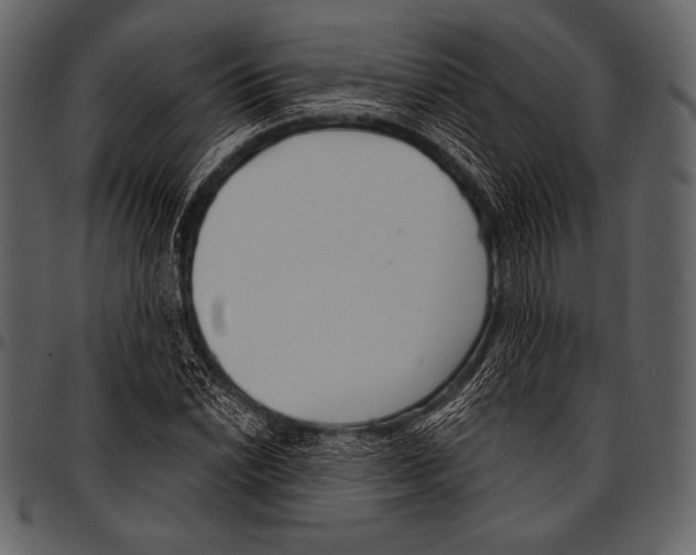 X0000097471022200803201443