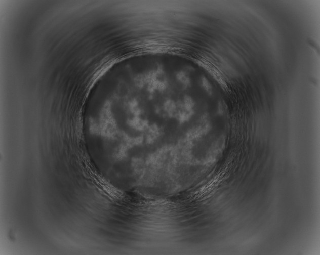 X0000097471023200803201443