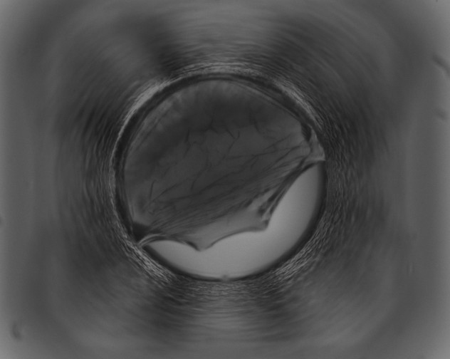 X0000097471024200803201443