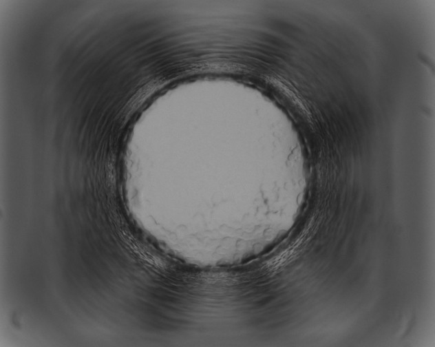 X0000097471025200803201443