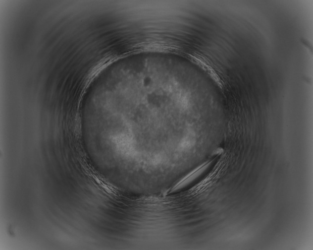 X0000097471027200803201443