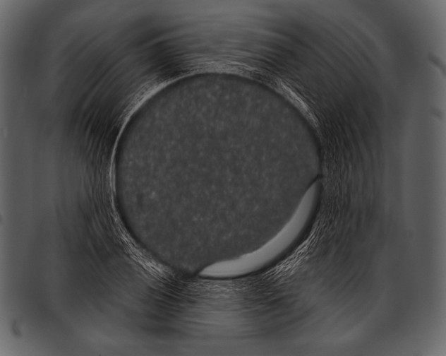 X0000097471028200803201443