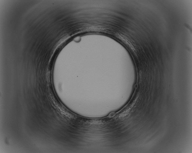 X0000097471029200803201443