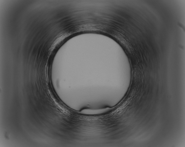 X0000097471030200803201443