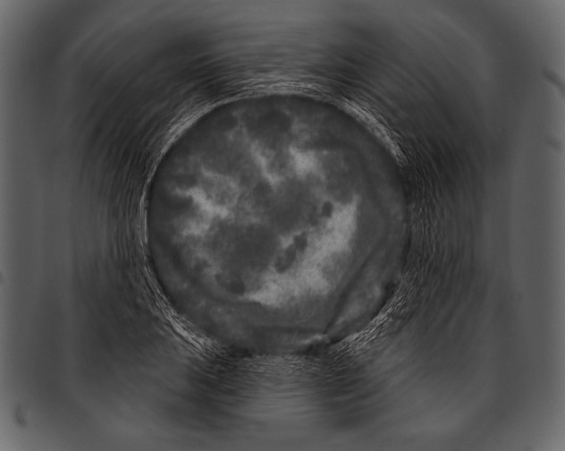 X0000097471031200803201443