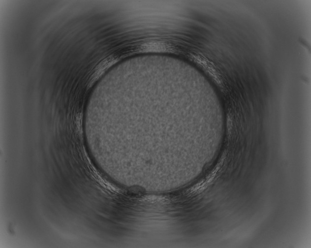 X0000097471033200803201443