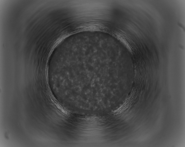 X0000097471035200803201443