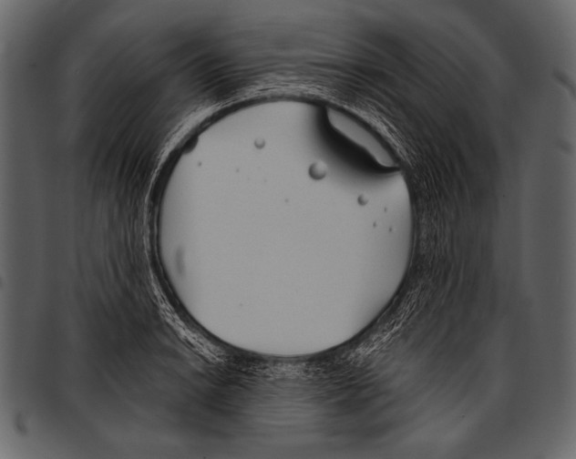 X0000097471038200803201443