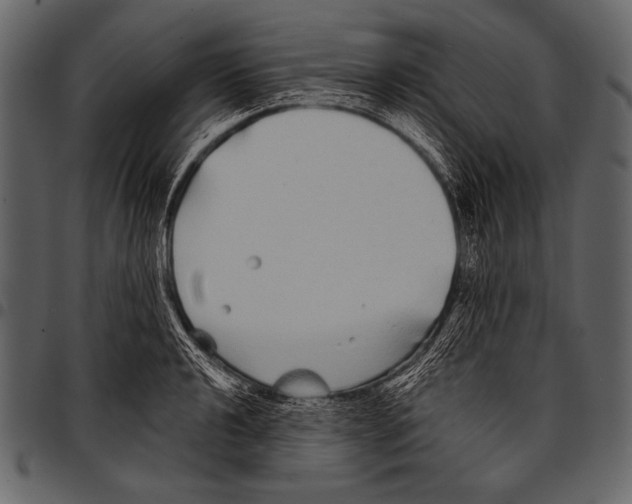 X0000097471040200803201443