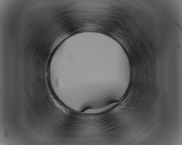 X0000097471042200803201443