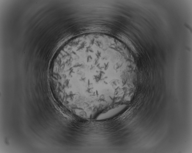 X0000097471043200803201443