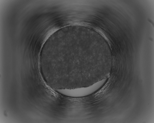 X0000097471048200803201444