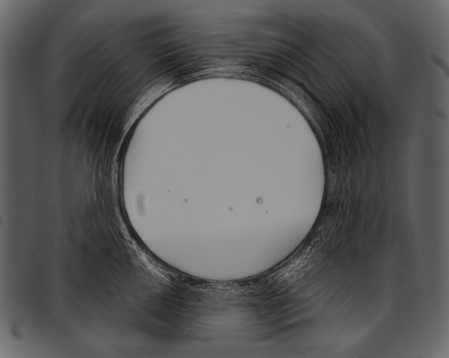 X0000097471050200803201444